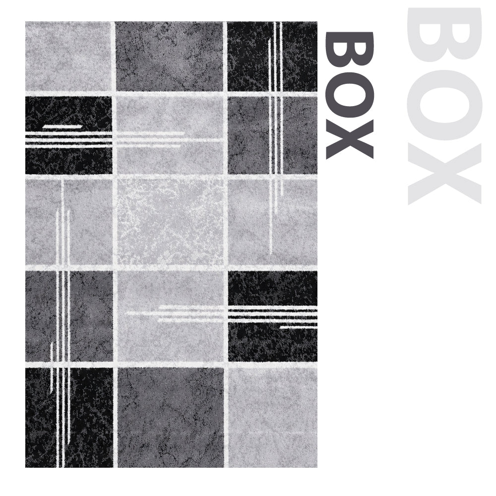 Box Geometric Area Rug